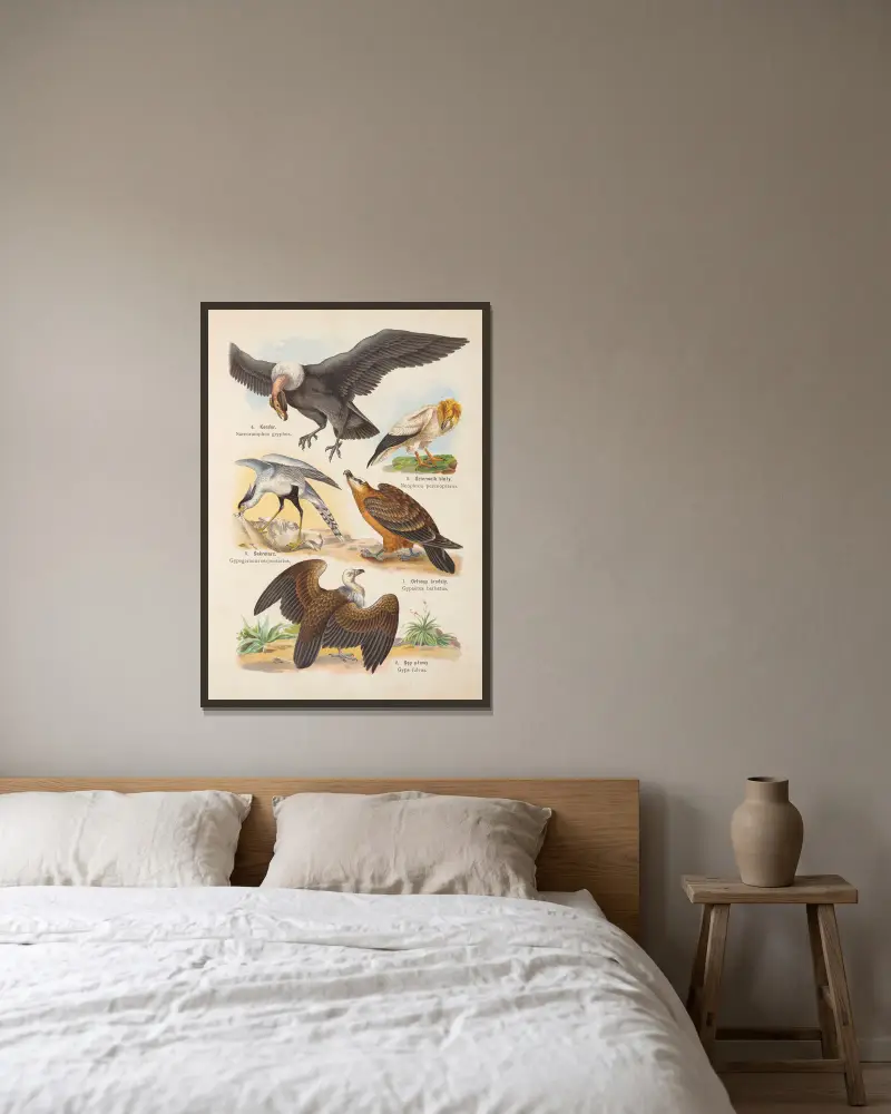 Atlas państwa zwierzęcego Pl.89 av Kurt Lampert inramad på en vägg