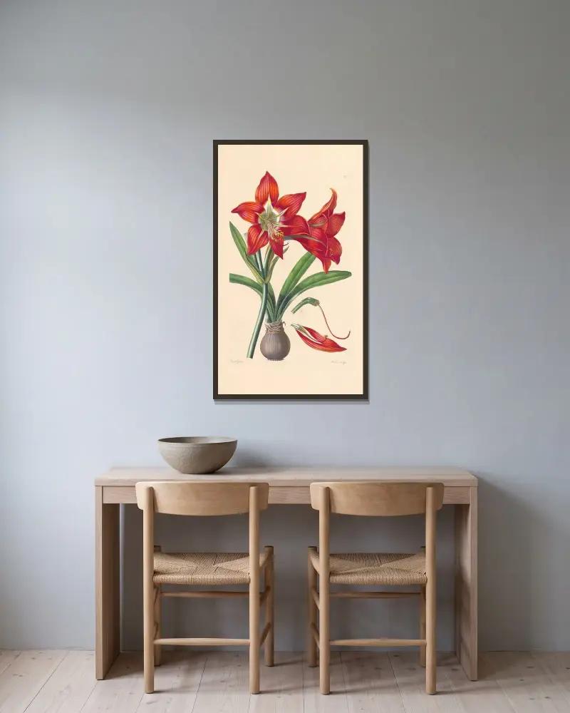 Amaryllis miniata av Leopold Trattinnick inramad på en vägg