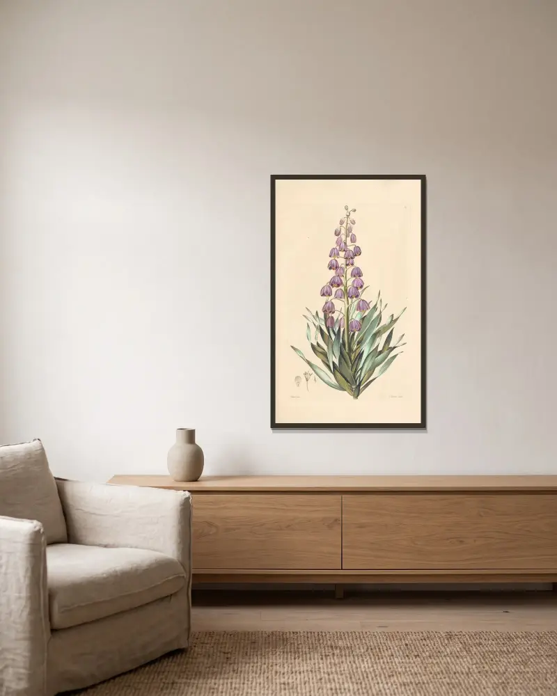 Fritillaria persica av Leopold Trattinnick inramad på en vägg
