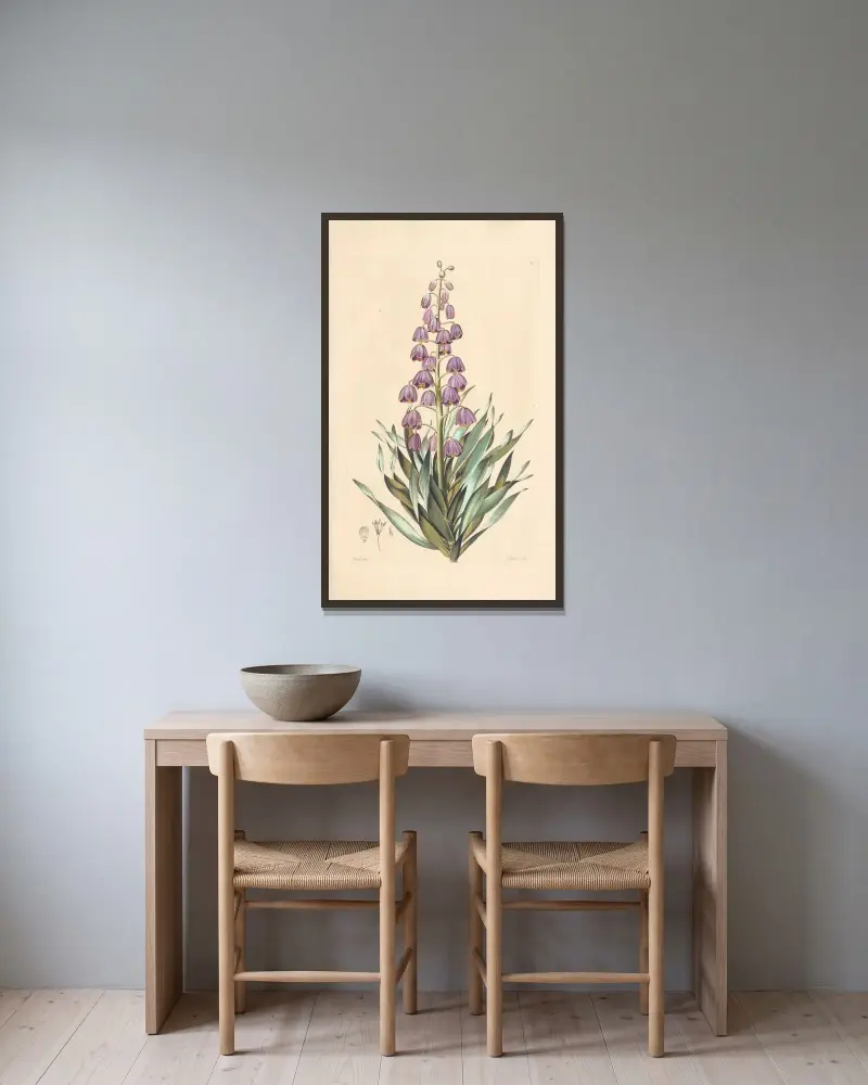 Fritillaria persica av Leopold Trattinnick inramad på en vägg