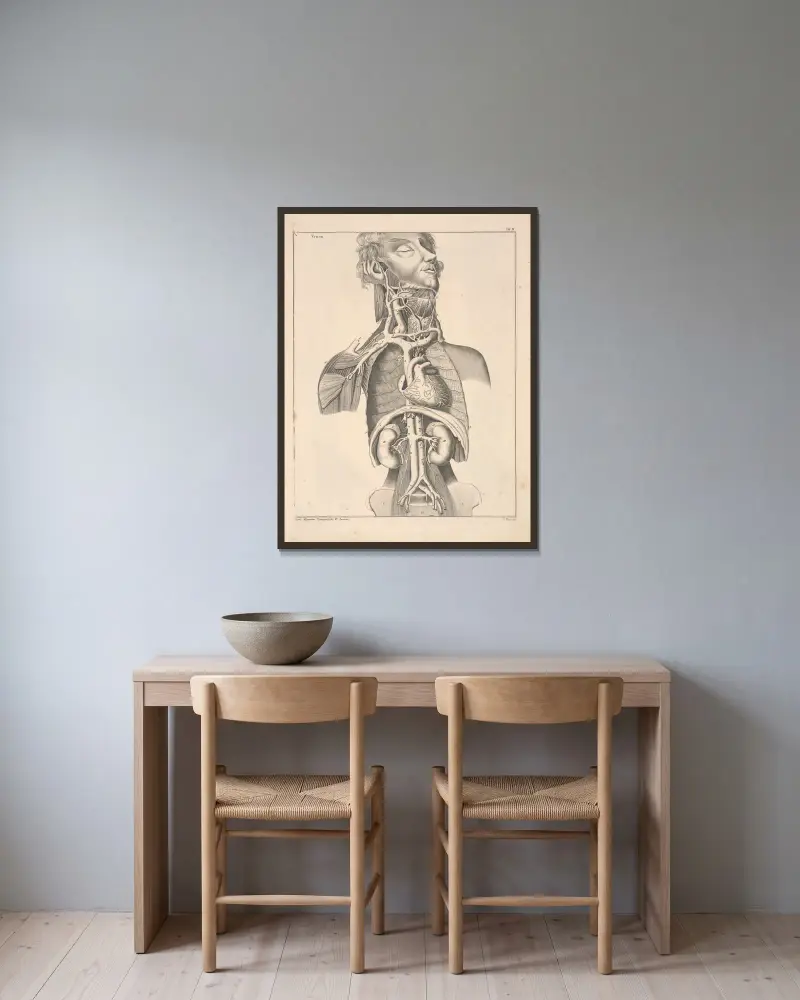 Abbildungen zu Oken’s Allgemeiner Naturgeschichte für alle Stände Pl.055 av Lorenz Oken inramad på en vägg