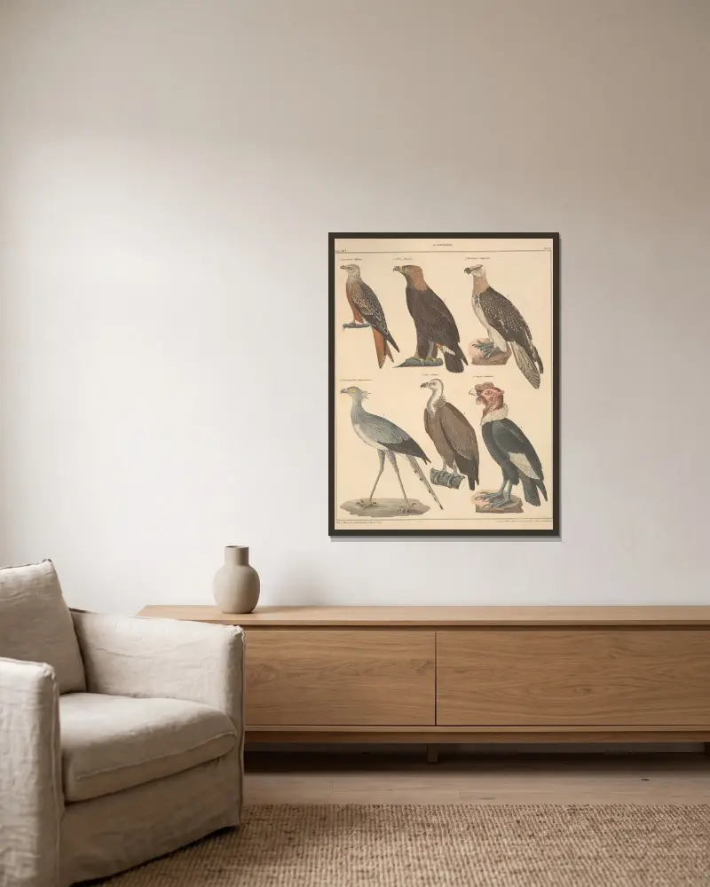 Illustrationer till Okens allmänna naturhistoria för alla stånd, plansch 121 av Lorenz Oken inramad på en vägg