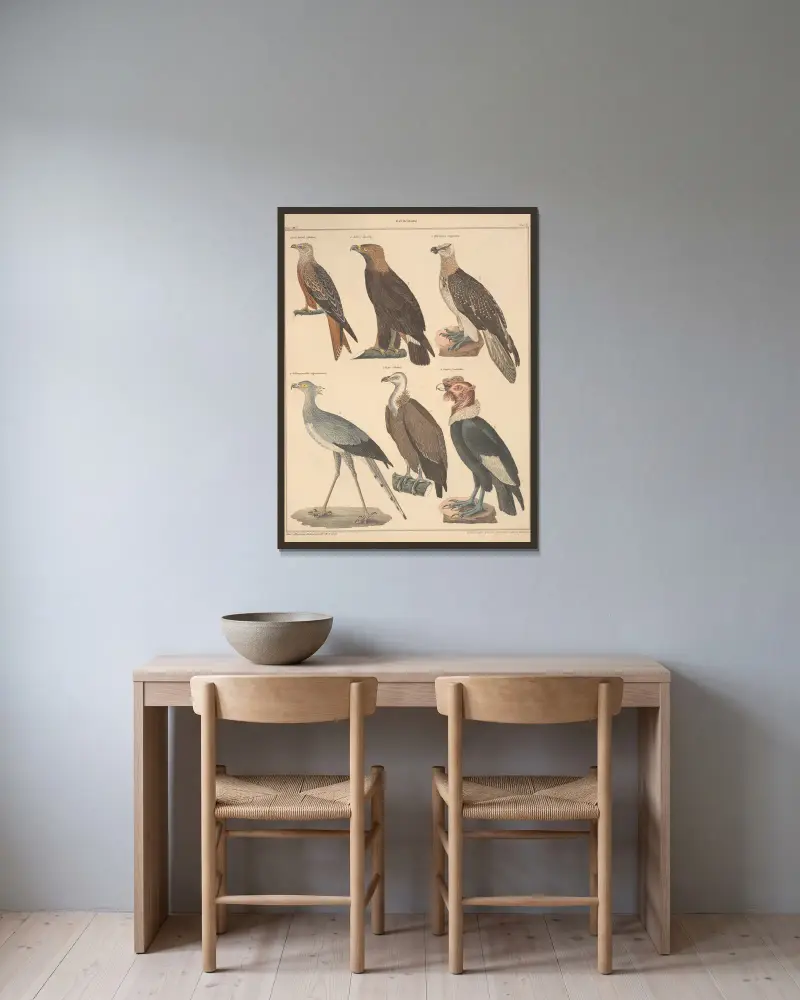 Illustrationer till Okens allmänna naturhistoria för alla stånd, plansch 121 av Lorenz Oken inramad på en vägg