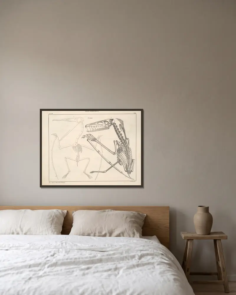 Abbildungen zu Oken’s Allgemeiner Naturgeschichte für alle Stände Pl.115 av Lorenz Oken inramad på en vägg