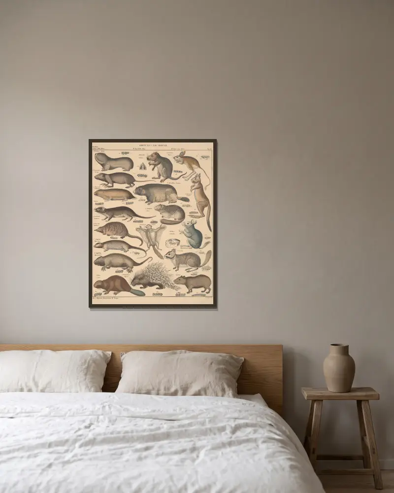 Abbildungen zu Oken’s Allgemeiner Naturgeschichte für alle Stände Pl.133 av Lorenz Oken inramad på en vägg