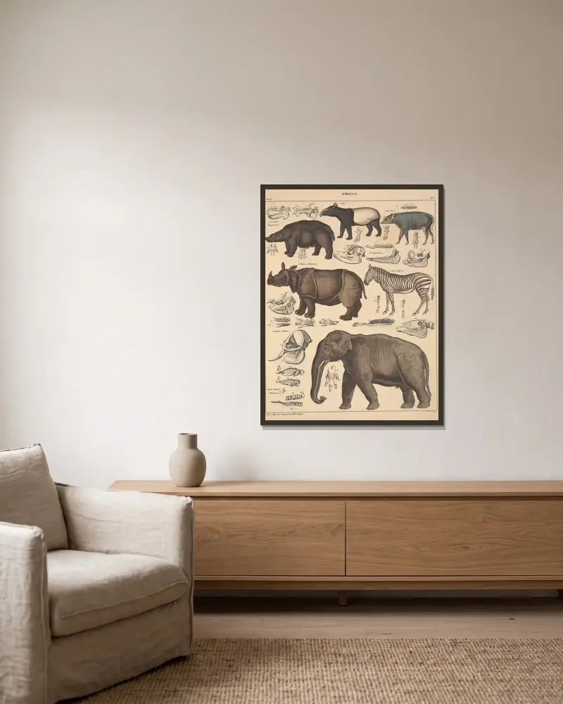 Illustrationer till Okens allmänna naturhistoria för alla stånd, plansch 137 av Lorenz Oken inramad på en vägg