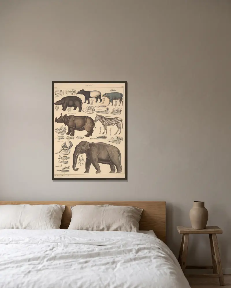 Illustrationer till Okens allmänna naturhistoria för alla stånd, plansch 137 av Lorenz Oken inramad på en vägg
