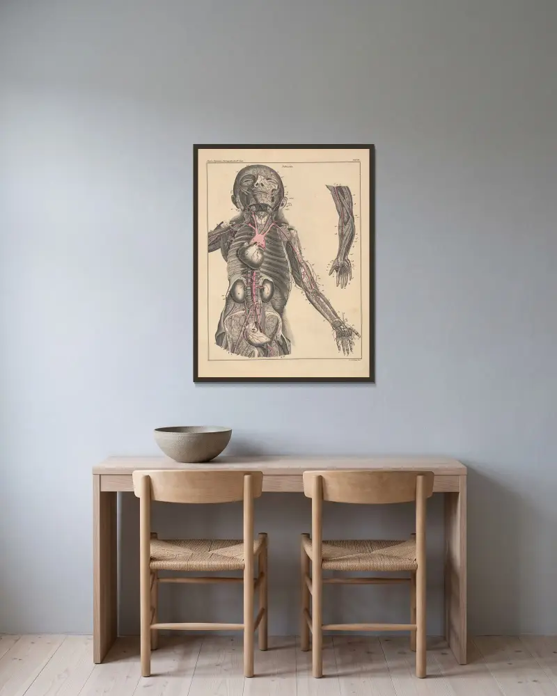 Abbildungen zu Oken’s Allgemeiner Naturgeschichte für alle Stände Pl.053 av Lorenz Oken inramad på en vägg