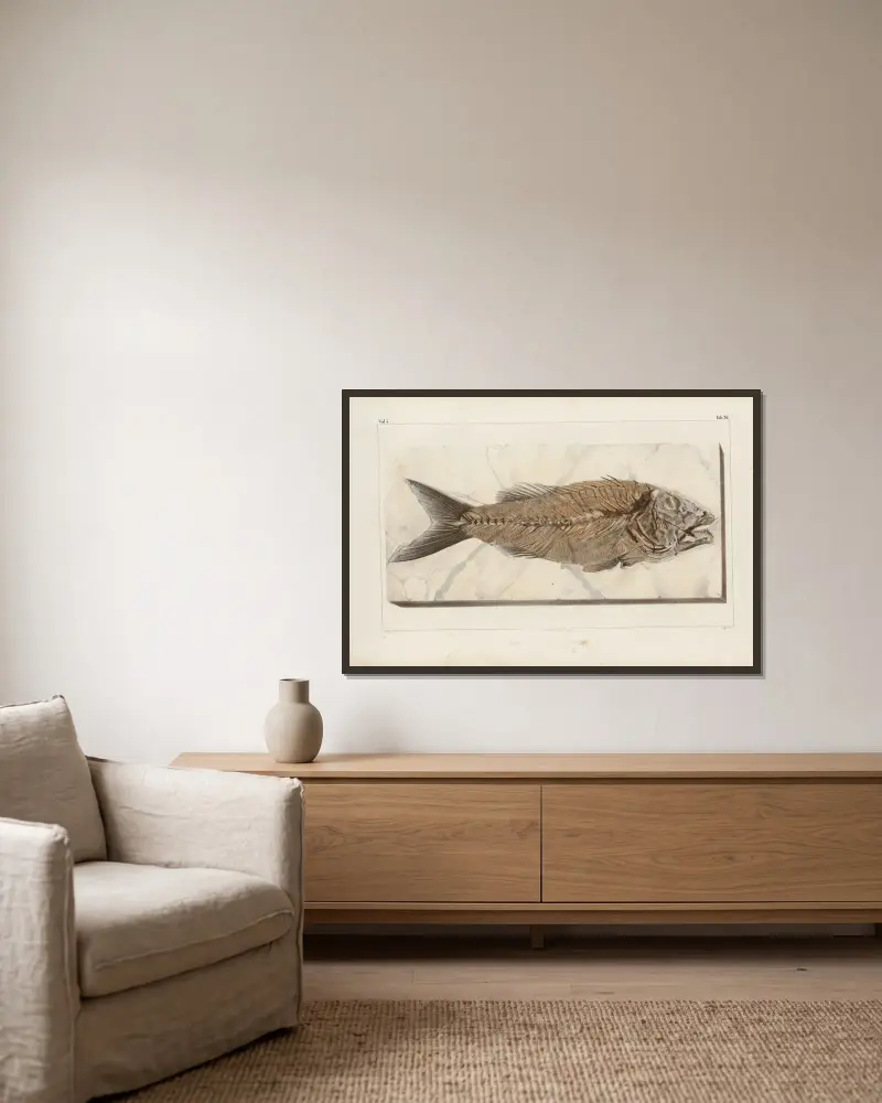Recherches sur les poissons fossiles Pl.376 av Louis Agassiz inramad på en vägg
