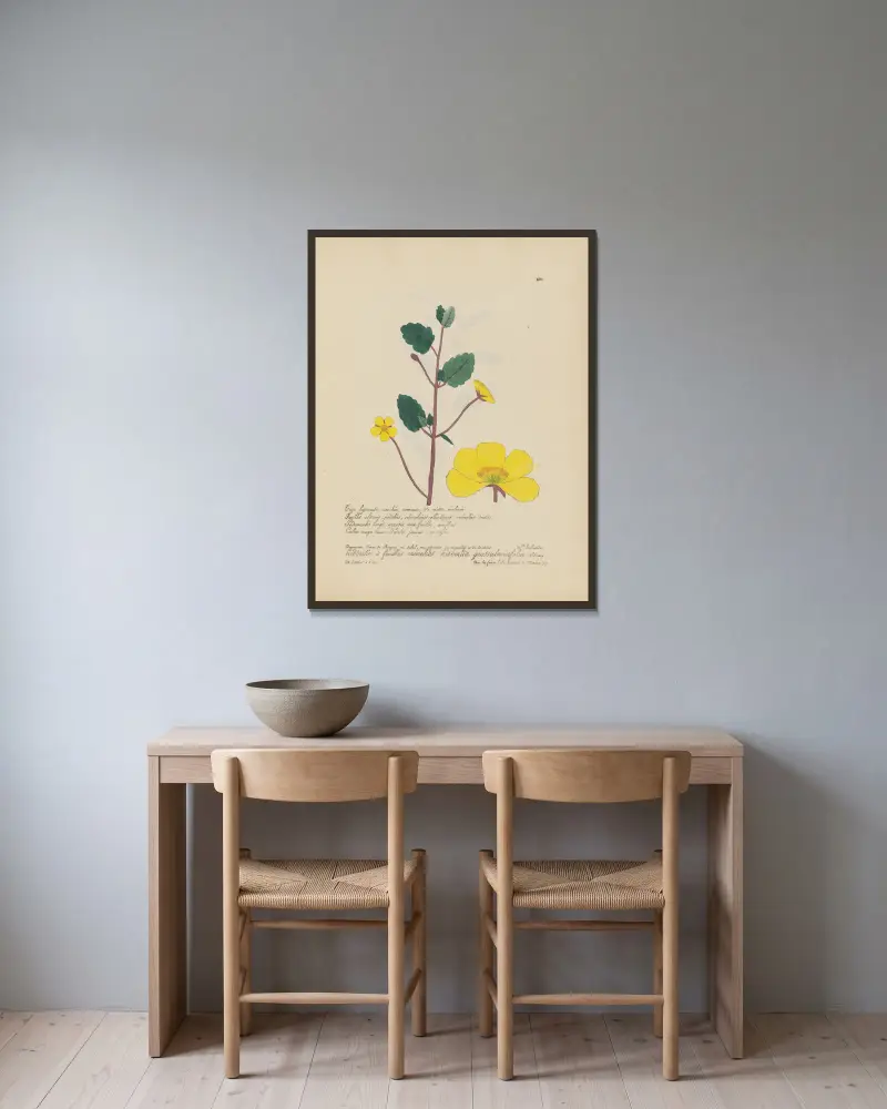 Hibbertia grossulariaefolia av Jean Baptiste Louis Letellier inramad på en vägg