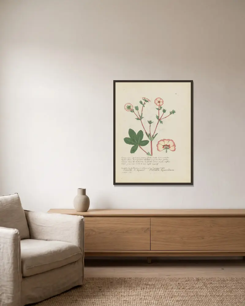 Potentilla hopwoodiana av Jean Baptiste Louis Letellier inramad på en vägg