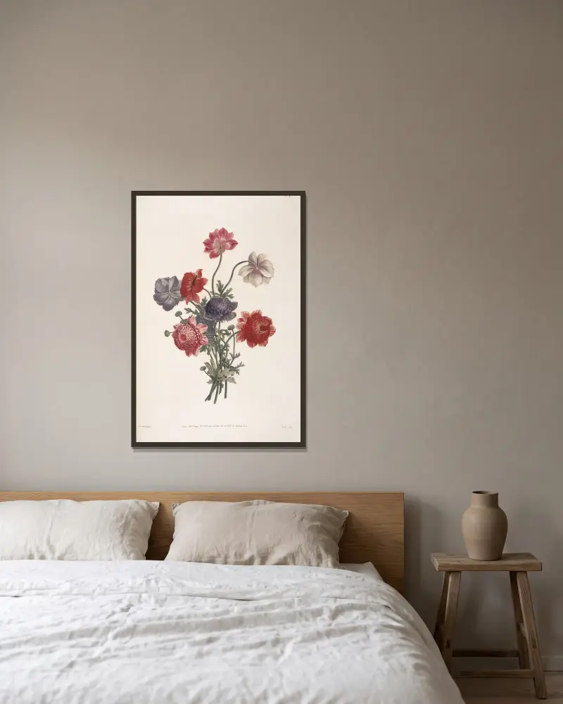 Bouquet d’Anémones de cinq sortes différentes av Jean Louis Prévost inramad på en vägg