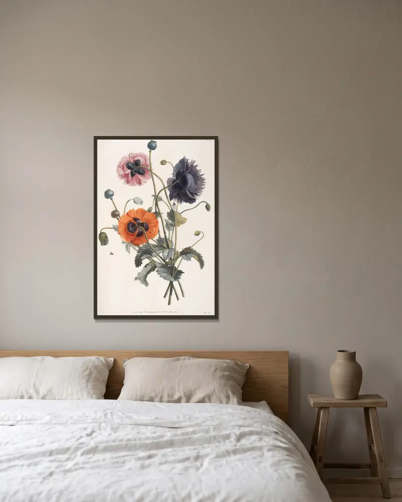 Etude de trois sortes de Pavots av Jean Louis Prévost inramad på en vägg