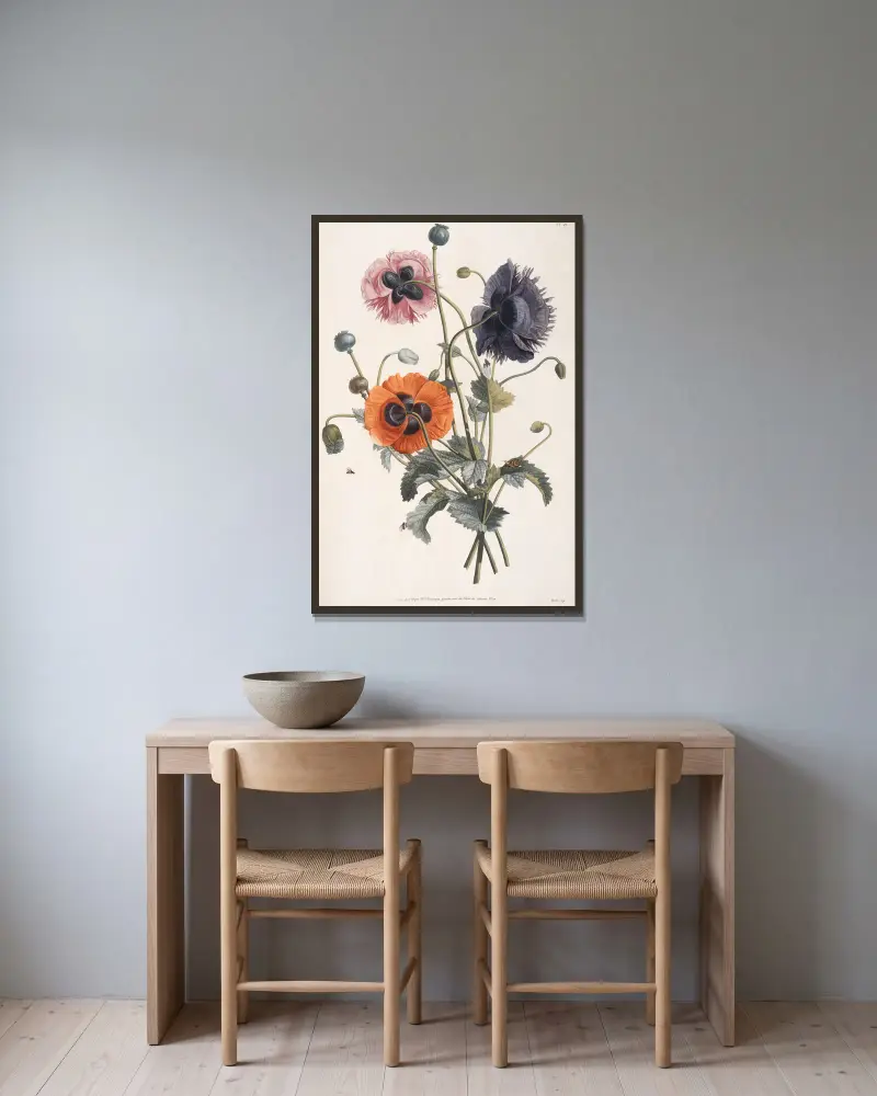 Etude de trois sortes de Pavots av Jean Louis Prévost inramad på en vägg