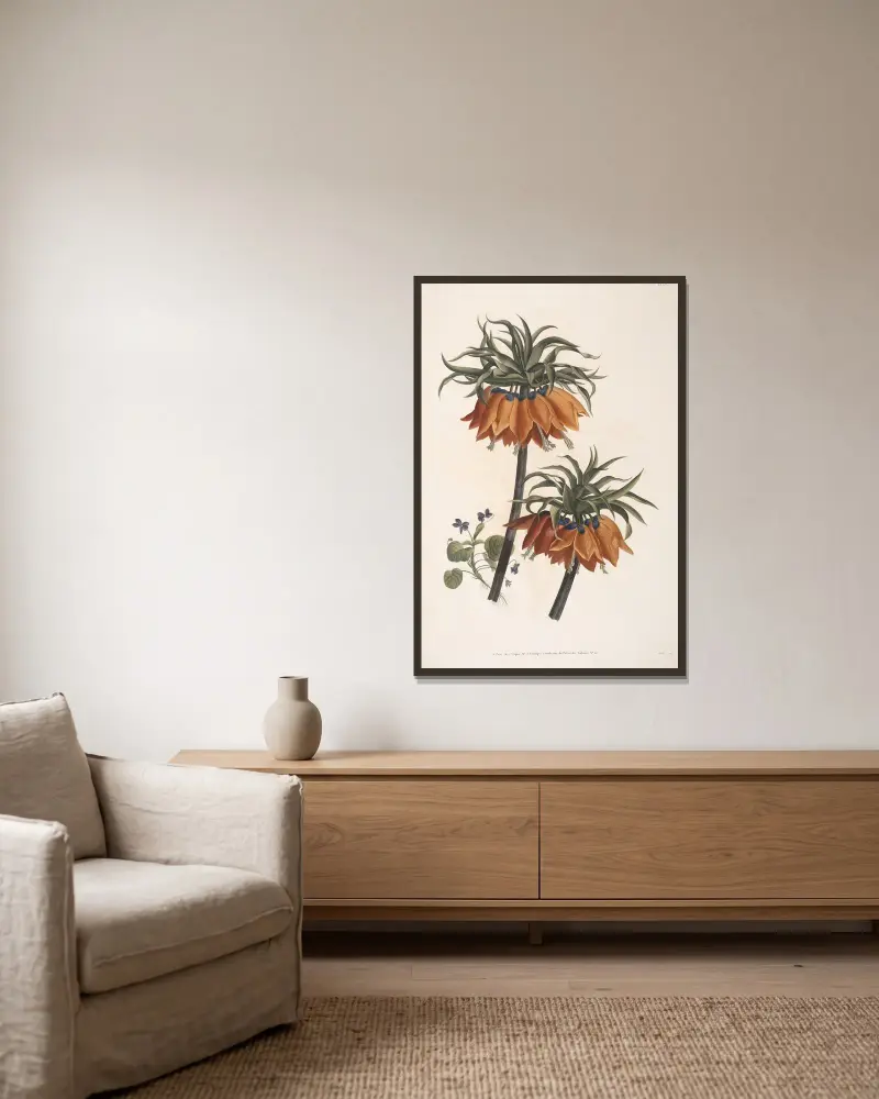 Studie von Königskerze und Veilchen von Jean Louis Prévost gerahmt an einer Wand
