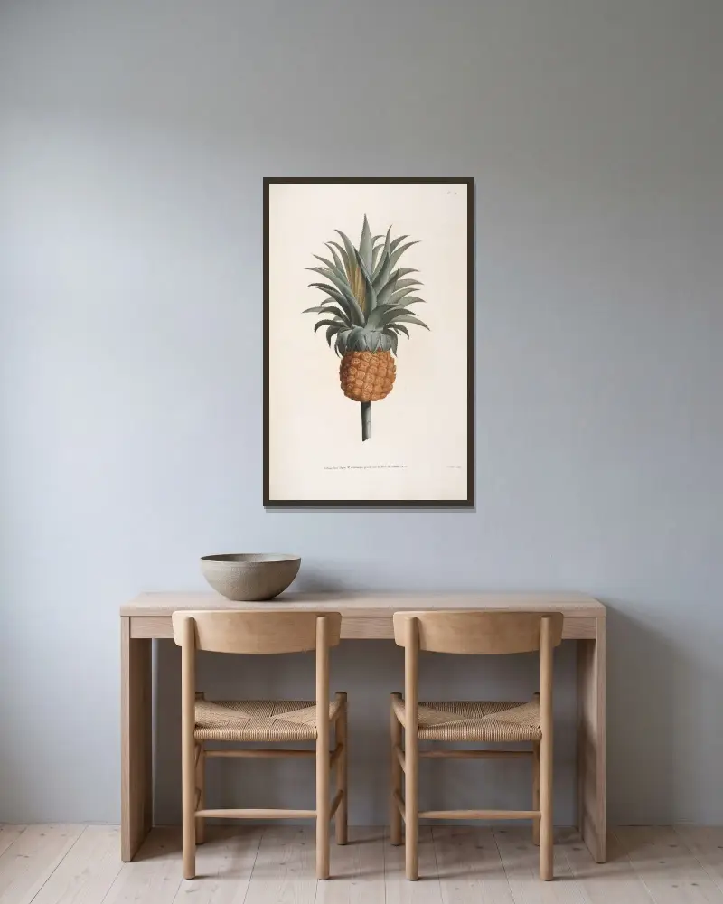 Studie av en ananas av Jean Louis Prévost inramad på en vägg