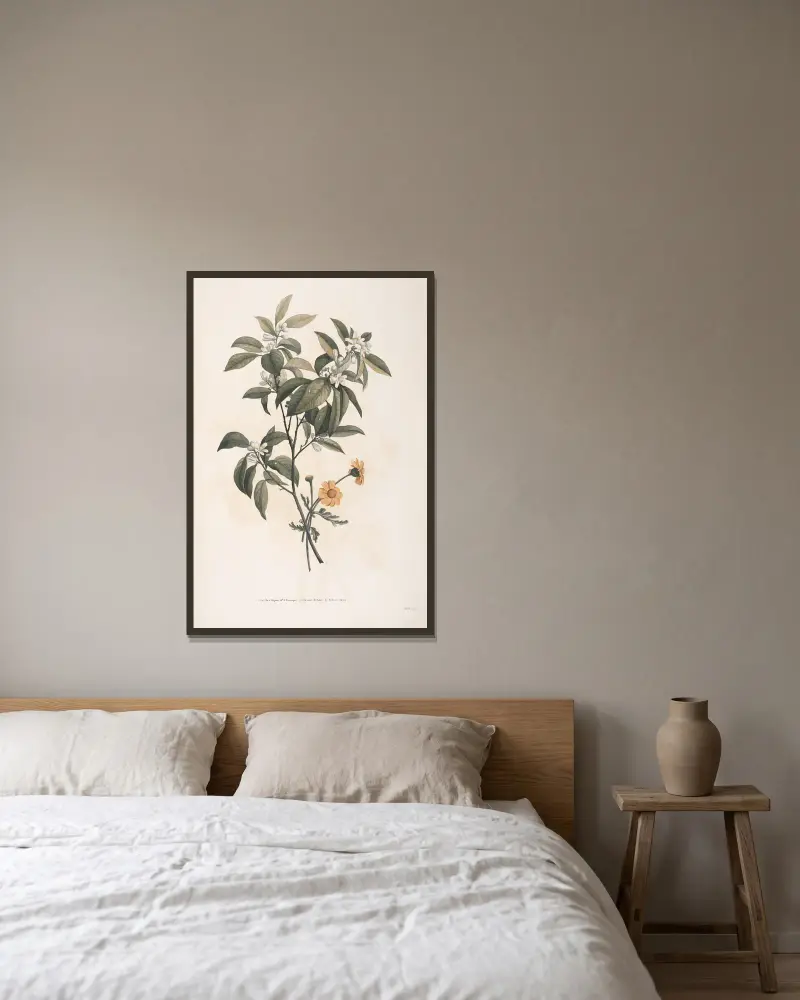 Etudes de fleurs d’Orange et de Crisaine grecque av Jean Louis Prévost inramad på en vägg