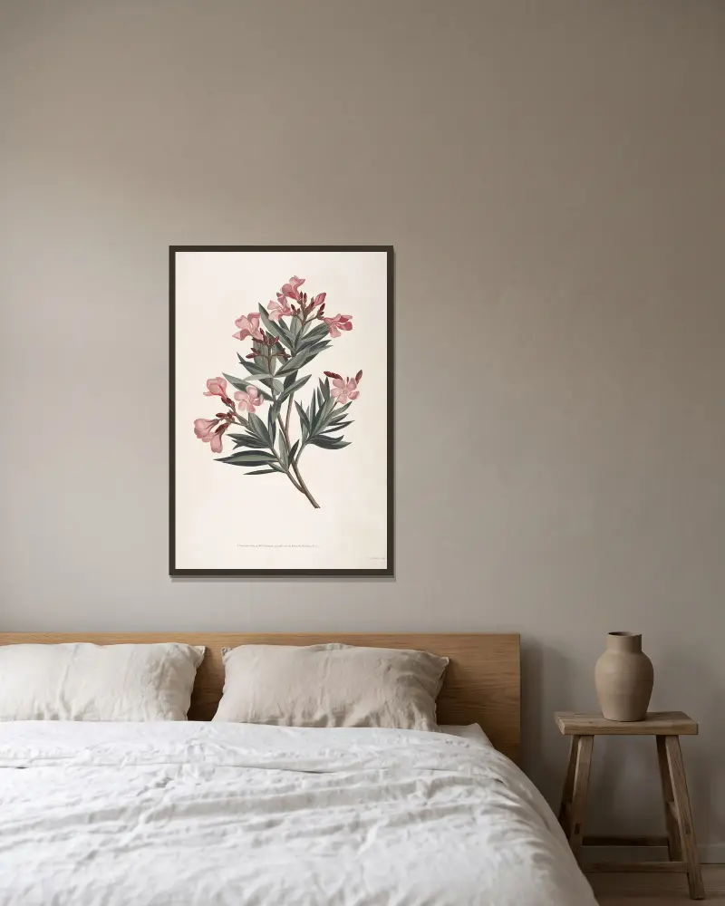 Rameau de Laurose, ou Laurier-rose av Jean Louis Prévost inramad på en vägg