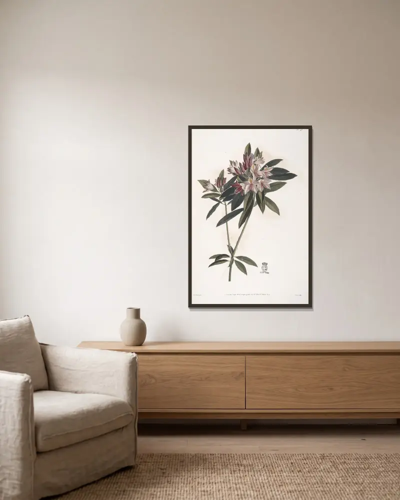 Rameau de Rosage du Levant, ou Rhododendron ponticum av Jean Louis Prévost inramad på en vägg