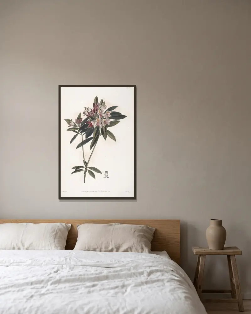 Rameau de Rosage du Levant, ou Rhododendron ponticum av Jean Louis Prévost inramad på en vägg