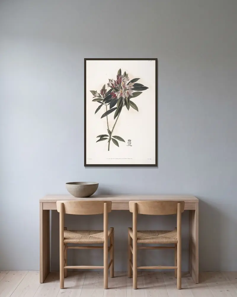 Rameau de Rosage du Levant, ou Rhododendron ponticum av Jean Louis Prévost inramad på en vägg
