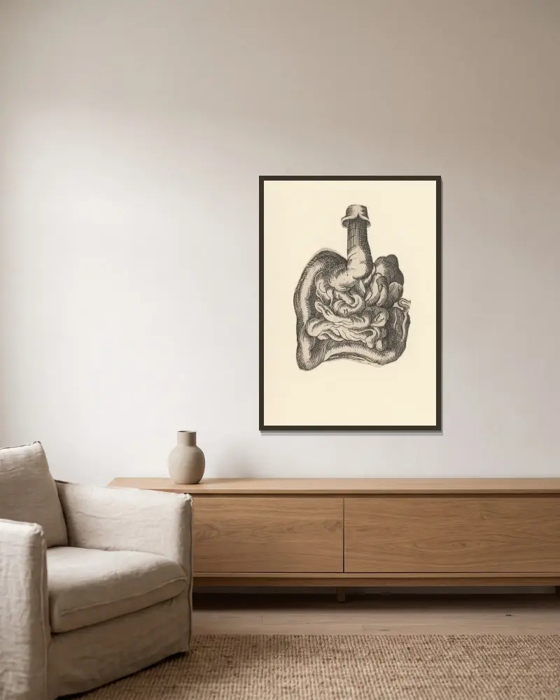 Darmtrakt von Lucas Kilian gerahmt an einer Wand