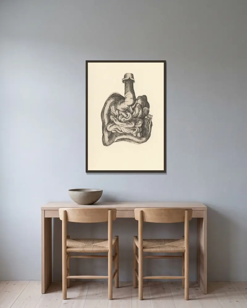 Darmtrakt von Lucas Kilian gerahmt an einer Wand