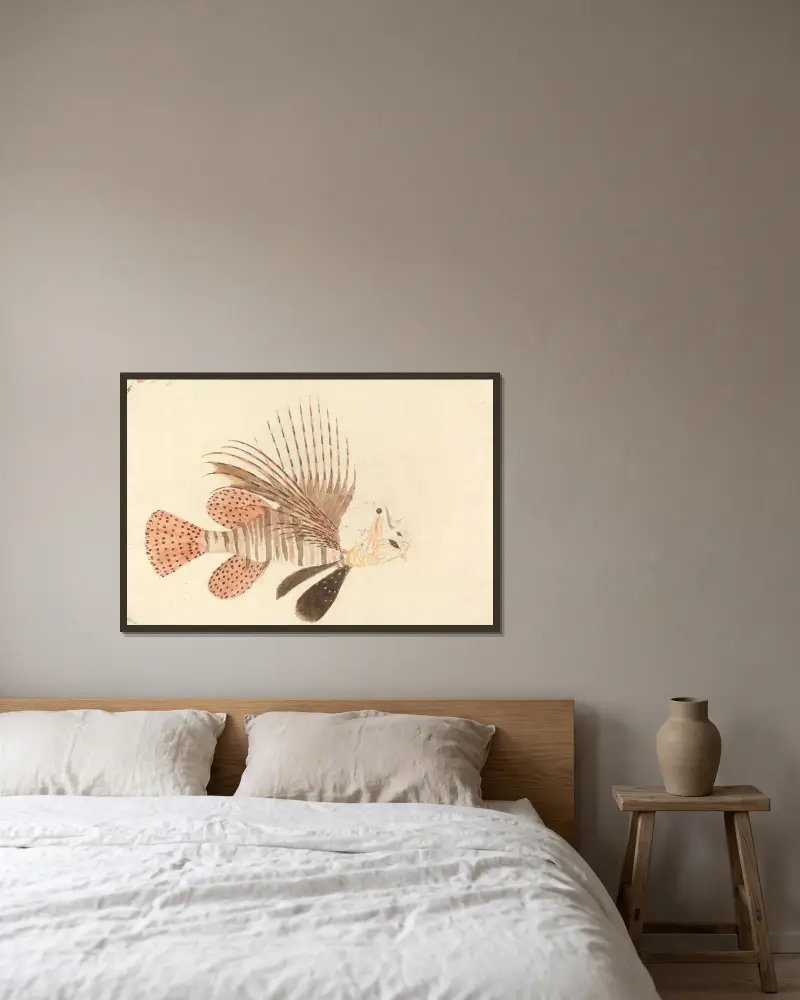 Ryba – č. 3, Luigi Balugani v rámu na stěně