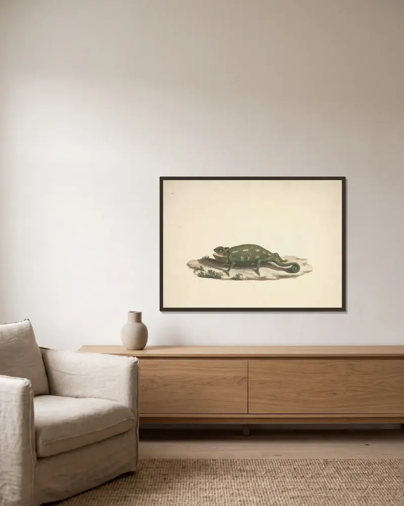 Neidentifikovaný chameleon, Luigi Balugani v rámu na stěně