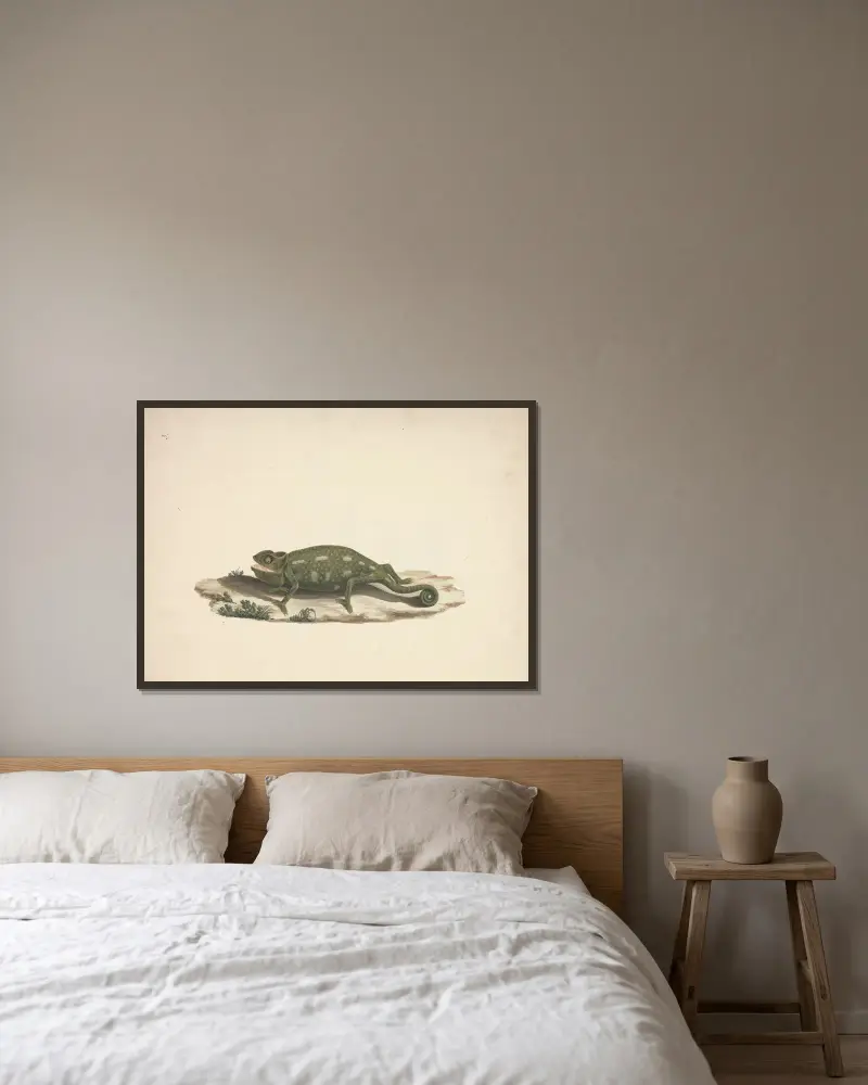 Neidentifikovaný chameleon, Luigi Balugani v rámu na stěně