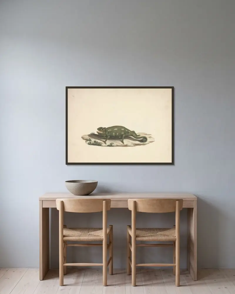 Neidentifikovaný chameleon, Luigi Balugani v rámu na stěně