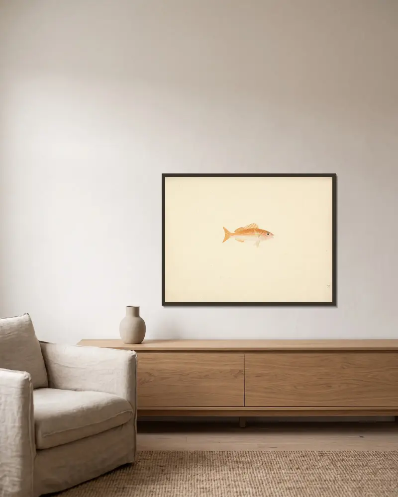 Unidentified Fish – nr 4 av Luigi Balugani inramad på en vägg