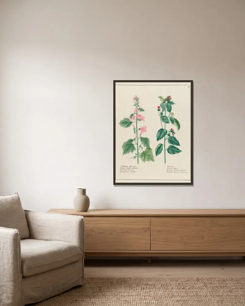 Althaea officinalis … [und] Bardana von Petr Martynovich Gofman gerahmt an einer Wand