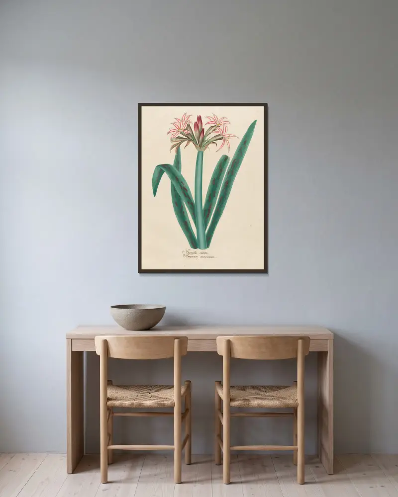Amaryllis vittata av Petr Martynovich Gofman inramad på en vägg