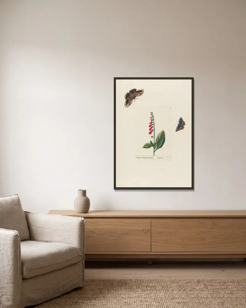 Digitalis von Petr Martynovich Gofman gerahmt an einer Wand