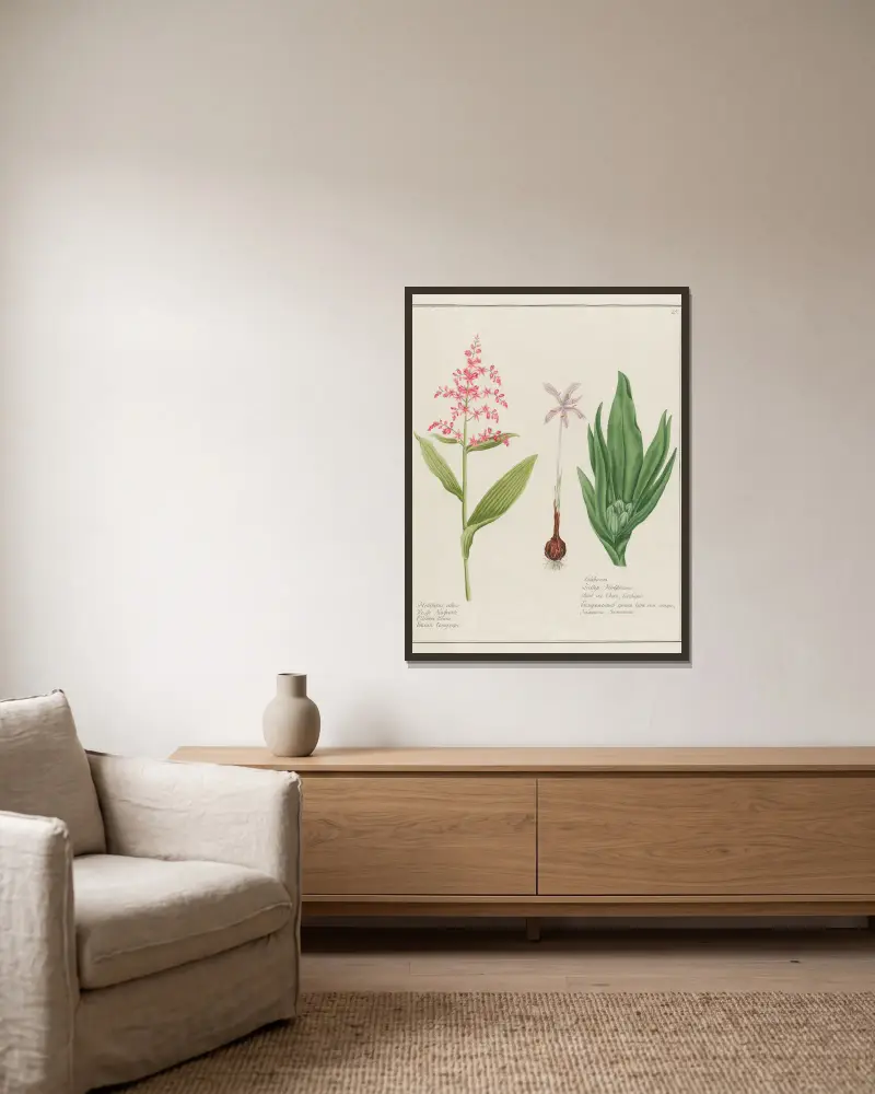 Helleborus albus … [and] Colchicum av Petr Martynovich Gofman inramad på en vägg