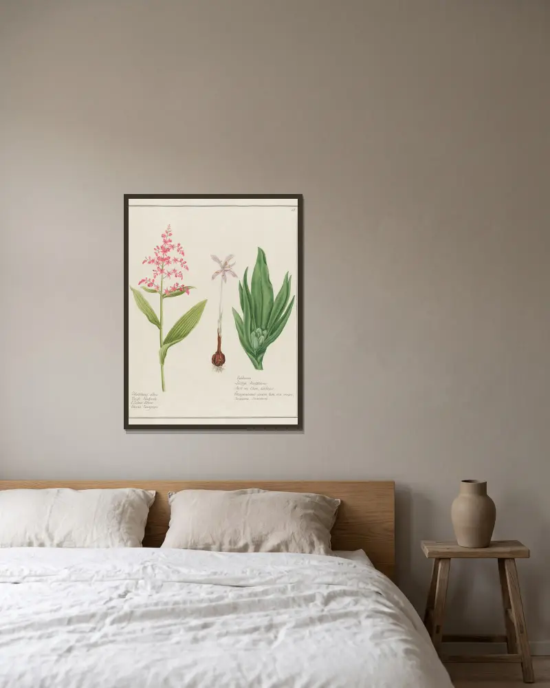 Helleborus albus … [and] Colchicum av Petr Martynovich Gofman inramad på en vägg