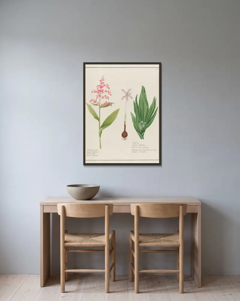Helleborus albus … [and] Colchicum av Petr Martynovich Gofman inramad på en vägg