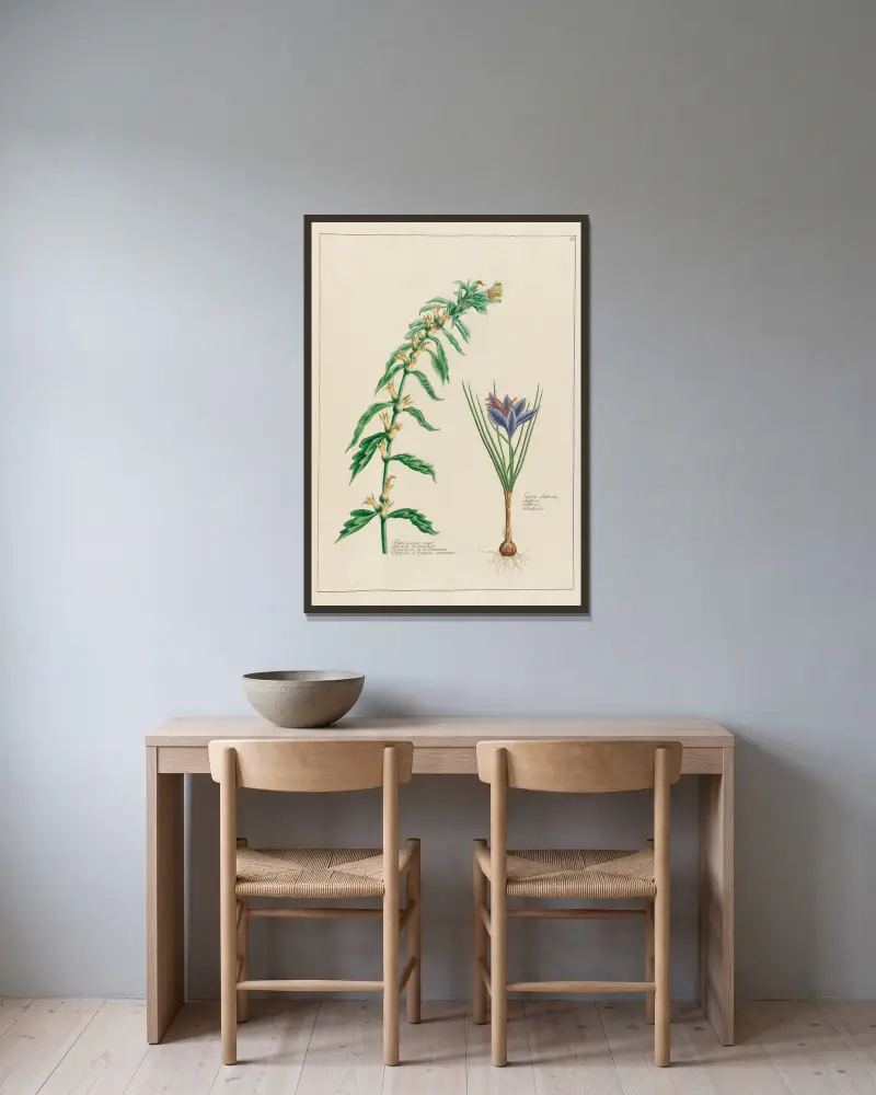 Hyosciamus niger … [und] Crocus Sativus von Petr Martynovich Gofman gerahmt an einer Wand