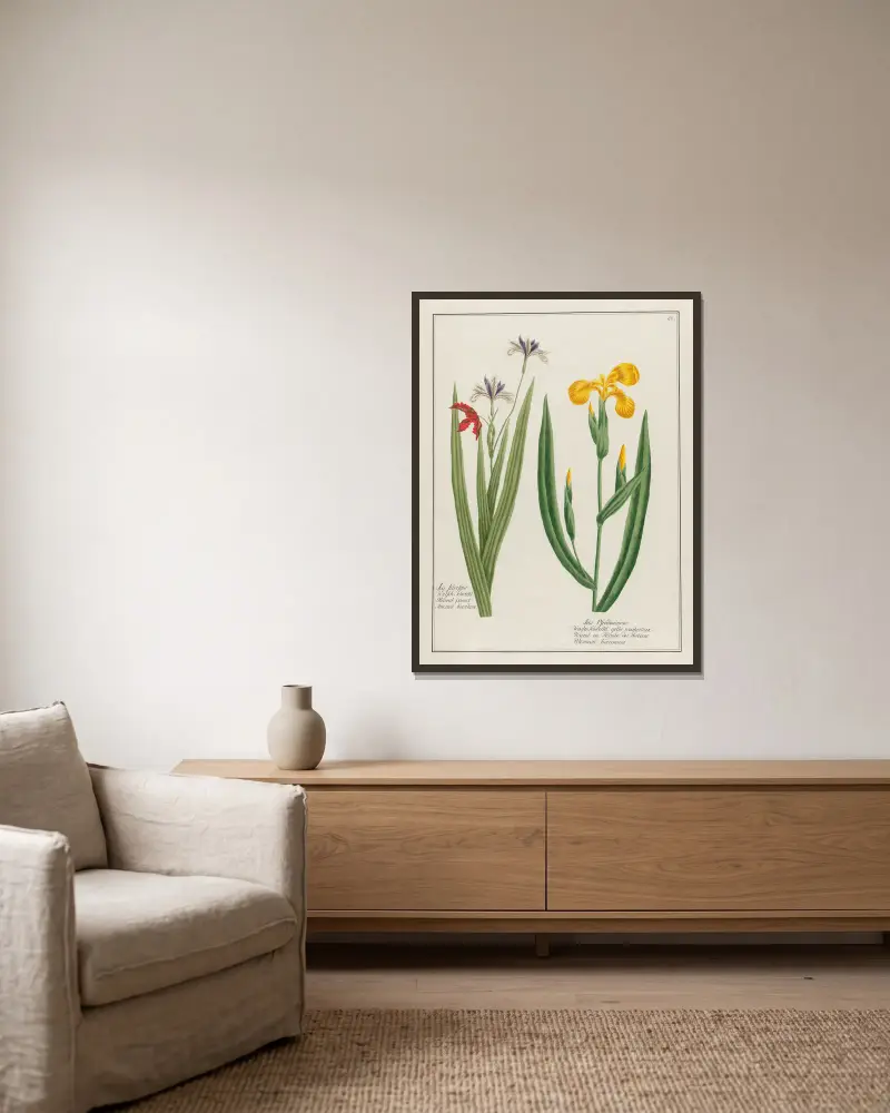 Iris Silvestris … [and] Iris Pseudoacorus av Petr Martynovich Gofman inramad på en vägg