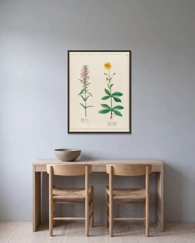Melissa Turcica … [and] Arnica officinalis av Petr Martynovich Gofman inramad på en vägg