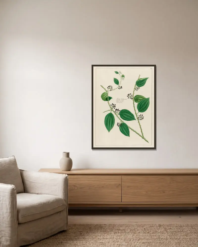 Smilax Sassaparilla von Petr Martynovich Gofman gerahmt an einer Wand
