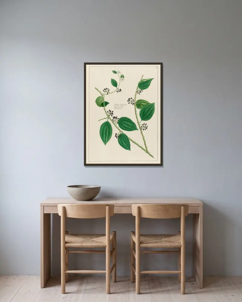 Smilax Sassaparilla von Petr Martynovich Gofman gerahmt an einer Wand