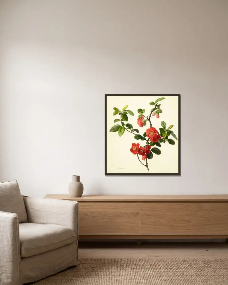 Pyrus japonica (Japanese quince) av Mary Lawrance inramad på en vägg