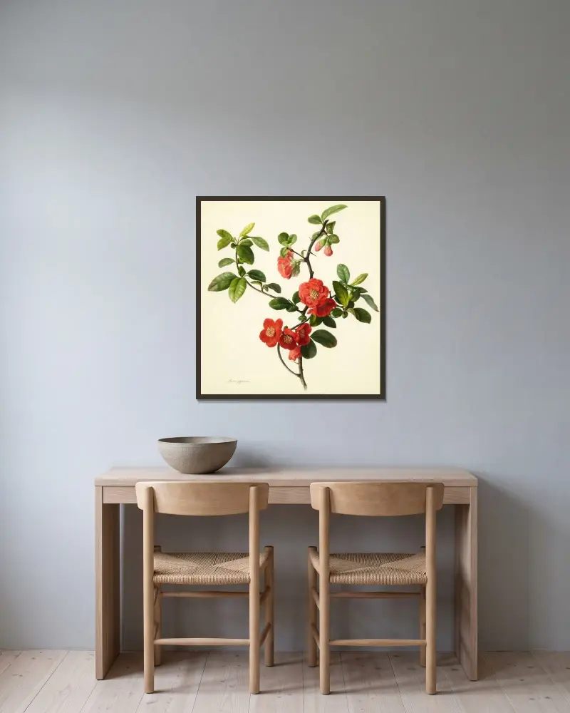 Pyrus japonica (Japanese quince) av Mary Lawrance inramad på en vägg