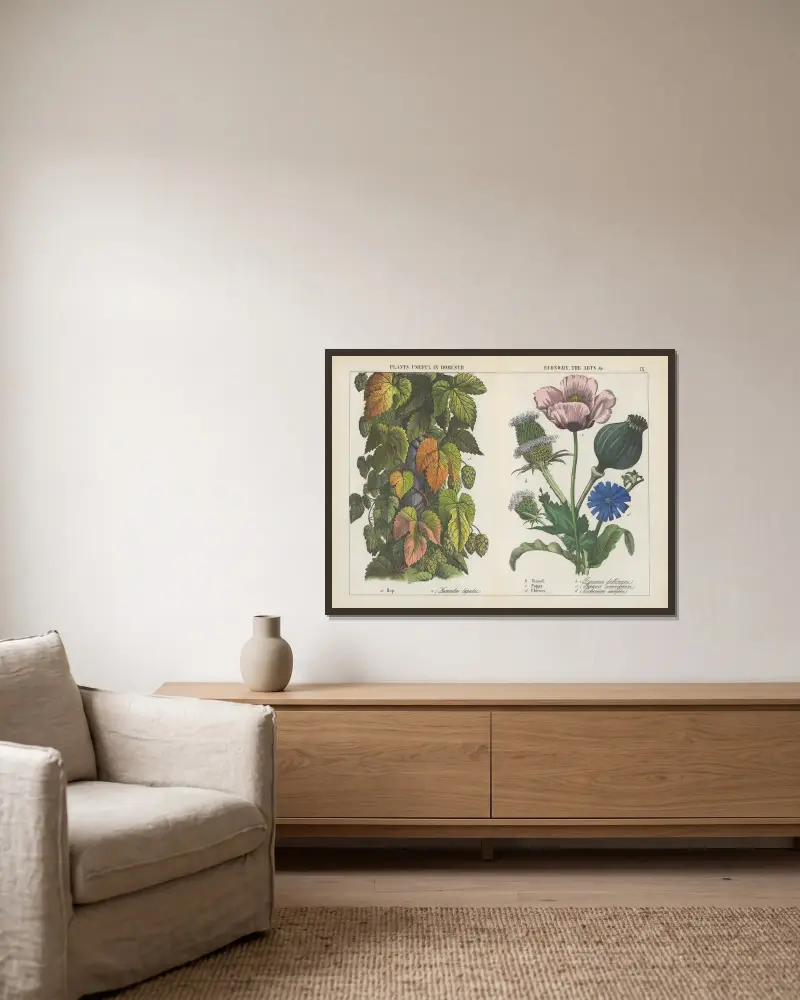 Plants useful in domestic, economy, the arts (Hop, Teasel, Poppy, Chicory), 1858 – nr 2 av Charlotte Mary Yonge inramad på en vägg