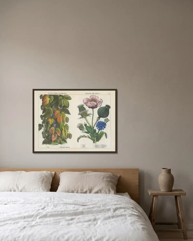 Plants useful in domestic, economy, the arts (Hop, Teasel, Poppy, Chicory), 1858 – nr 2 av Charlotte Mary Yonge inramad på en vägg