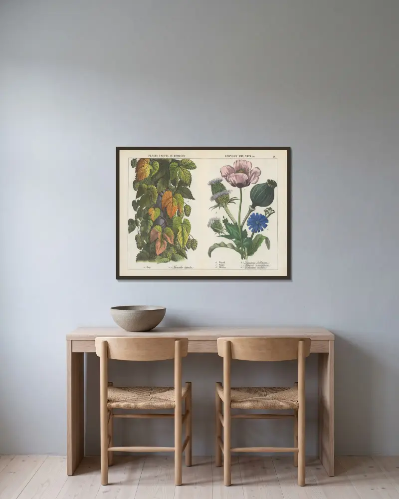 Plants useful in domestic, economy, the arts (Hop, Teasel, Poppy, Chicory), 1858 – nr 2 av Charlotte Mary Yonge inramad på en vägg