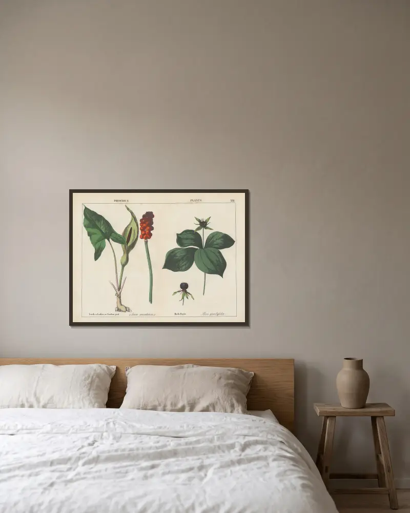 Giftige Pflanzen (Lords & Ladies, Herb Paris), 1858 – Nr. 6 von Charlotte Mary Yonge gerahmt an einer Wand