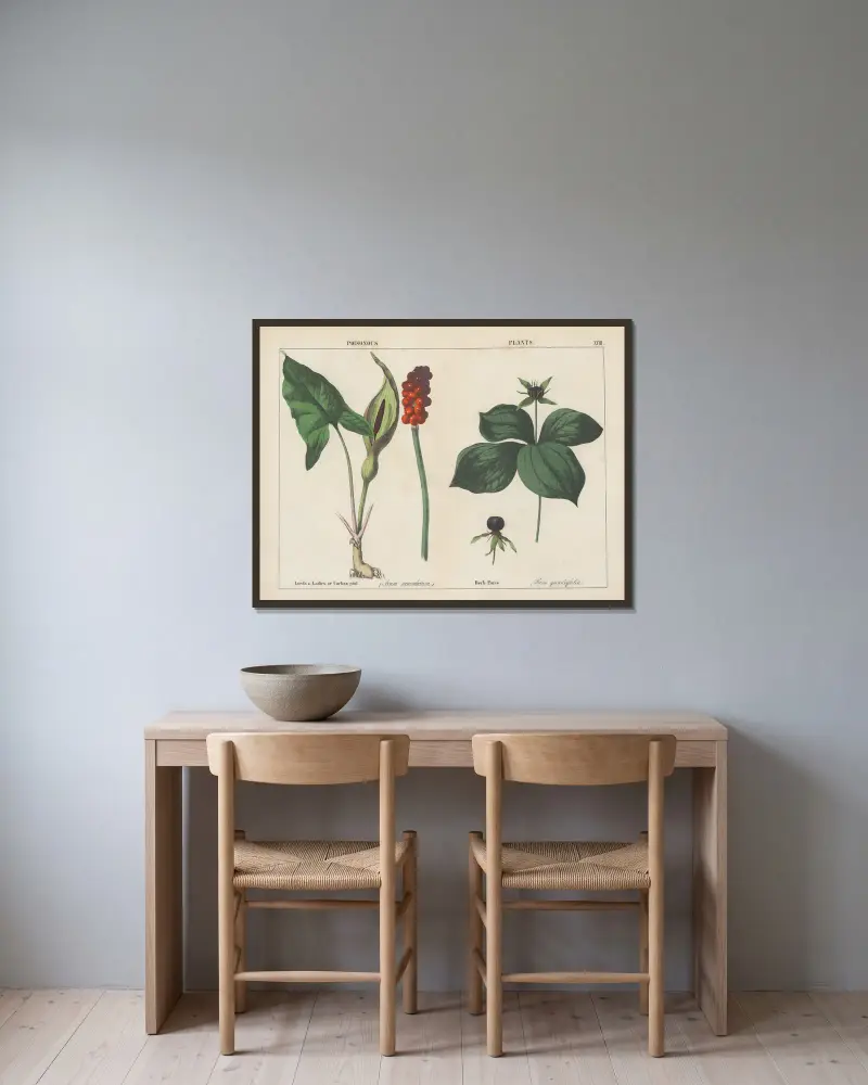 Giftige Pflanzen (Lords & Ladies, Herb Paris), 1858 – Nr. 6 von Charlotte Mary Yonge gerahmt an einer Wand